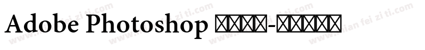 Adobe Photoshop 此文本图字体转换